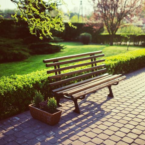 Park bench in the sun
